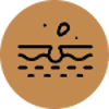 w1sdsxcxccxccx00.png