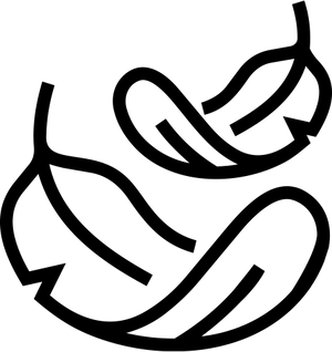 019f2aca-4175-7fe2-a548-3469fc9633fb-ICON_2.png