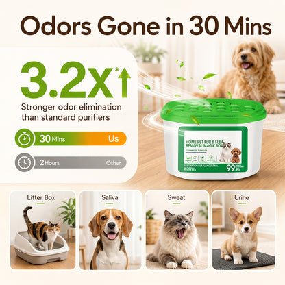 Home Pet Fur & Odor Removal Magic Box