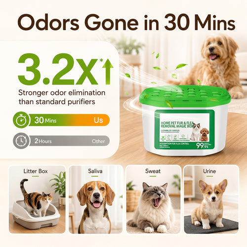 Home Pet Fur & Odor Removal Magic Box