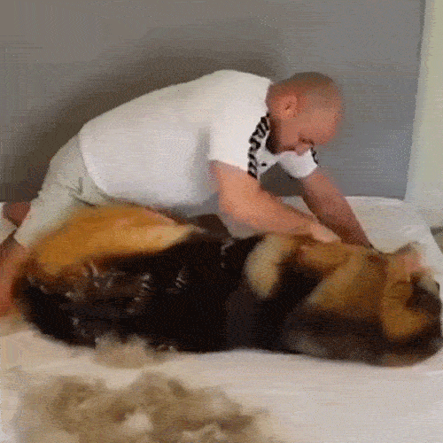 99e033d0688c57733931a4496718c0d0f22b373a.gif