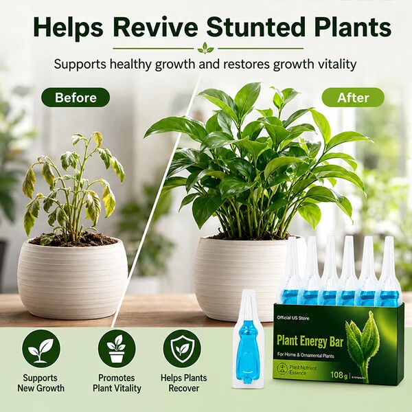 Official US Store  ausbs® Plant Energy Bar