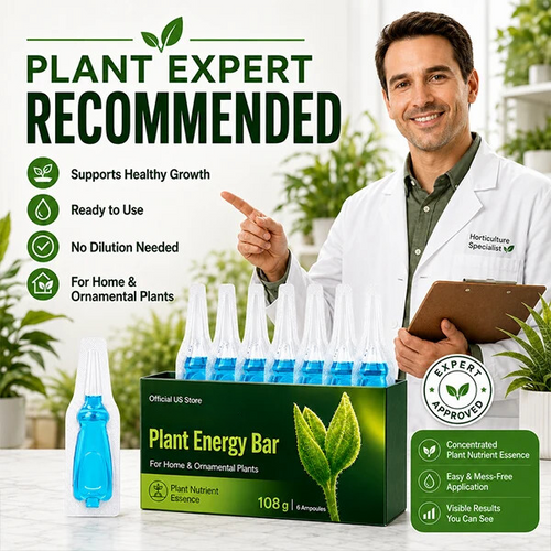 Official US Store  ausbs® Plant Energy Bar