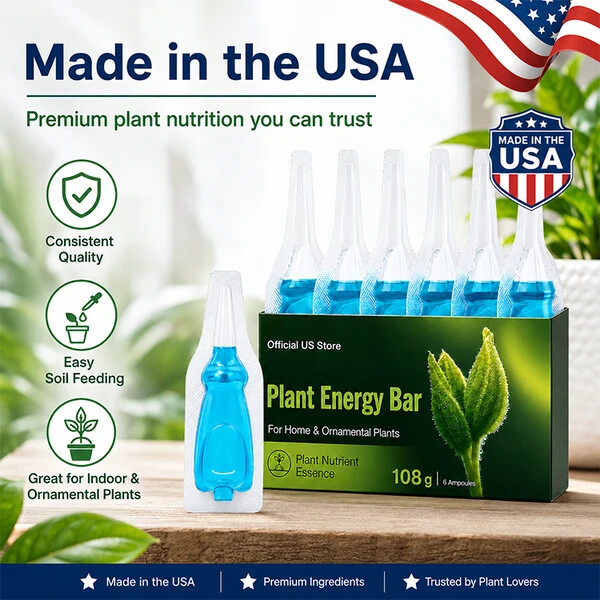 Official US Store  ausbs® Plant Energy Bar