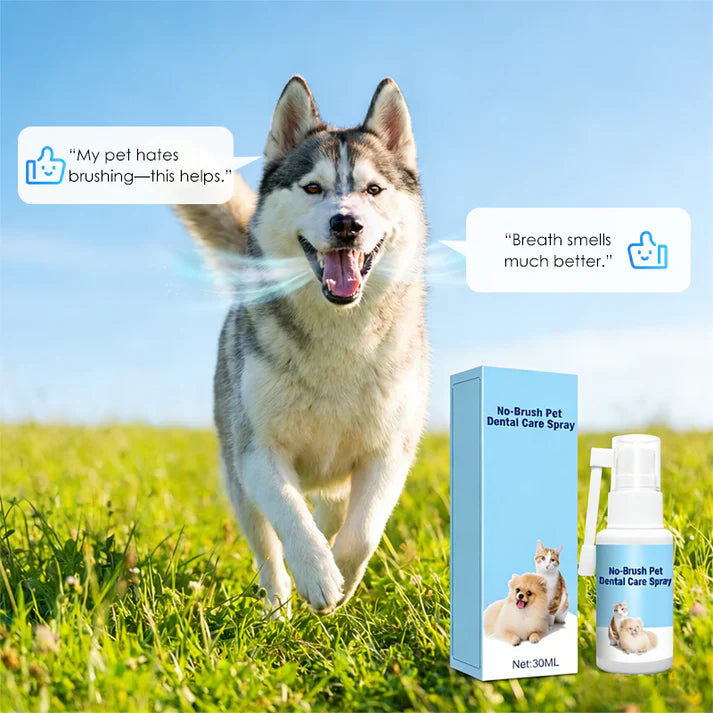 🔥Teeth Cleaning Spray for Pets